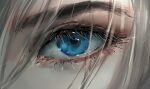 1girl bangs blue_eyes blurry close-up commentary depth_of_field english_commentary eye_focus eyebrows eyelashes grey_hair hair_between_eyes hair_over_one_eye highres looking_at_viewer mixed-language_commentary nixeu original solo 