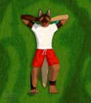  absurd_res anthro canid canine canis clothing domestic_dog eyes_closed fox fur german_shepherd grass herding_dog hi_res high-angle_view huge_filesize lying male mammal pastoral_dog paws plant sarkvy sheepdog solo tongue tongue_out 