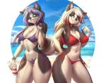  2022 anthro bikini breasts canid canine canis cleavage clothed clothing domestic_dog duo female fur hi_res husky mammal nordic_sled_dog one_eye_closed sand sea simple_background spitz swimwear teeth thick_thighs viejillox water white_background wide_hips 