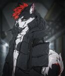  angiewolf anthro black_body black_clothing black_fur black_topwear blurred_background clothing fur jacket lidded_eyes looking_at_viewer male mammal multicolored_body multicolored_fur red_body red_fur smile snow solo topwear white_body white_fur 