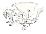  dragon feral genitals male penis poking_out scalie solo white_body xymor xymor_(character) 