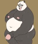  2022 absurd_res anthro belly big_belly black_body black_nose bodily_fluids dreamworks erection genitals giant_panda hi_res humanoid_genitalia humanoid_hands humanoid_penis inushishigami kung_fu_panda male mammal master_po_ping masturbation moobs nipples overweight overweight_male penis simple_background solo sweat ursid white_body 