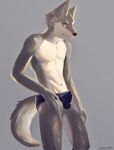  absurd_res anthro bulge canid canine canis clothed clothing fur grey_body grey_fur hi_res looking_at_viewer male mammal multicolored_body navel simple_background solo standing two_tone_body underwear underwear_only white_body white_fur wolf wolftea42 