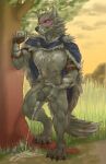  anthro armor blaidd_(elden_ring) blush bodily_fluids bottomless canid canine canis cape clawed_feet clear_urine clothed clothing cloud foreskin fur_cape gauntlets genital_fluids genitals gloves grass half-erect handwear hi_res male mammal partially_retracted_foreskin peeing penis plant plate_armor sky solo tree urine wolf xuebao_(artist) 