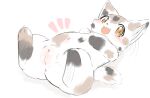  anus blush calico_cat colored_sketch domestic_cat felid feline felis female feral genitals happy hi_res lying mammal mottled navel on_back open_mouth piebald presenting presenting_pussy puniwanko pussy sketch smile solo 
