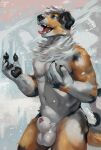  2022 animal_genitalia anthro athletic athletic_anthro athletic_male balls canid canine canis chest_tuft collie domestic_dog fur genitals herding_dog hi_res juiceps male mammal multicolored_body multicolored_fur open_mouth outside pastoral_dog pawpads penis sheath sheepdog snow solo standing tuft 