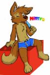  2015 anthro biped blue_clothing blue_underwear bodily_fluids brown_body brown_fur brown_hair brown_nose bulge canid canine canis cheek_tuft chest_tuft clothed clothing dipstick_tail domestic_dog eye_through_hair facial_tuft food fur gaokun green_eyes grey_inner_ear hair hi_res male mammal markings monotone_ears monotone_hair multi_tone_fur one_eye_closed pink_tongue popsicle sitting solo sweat tail_markings tan_body tan_fur text tongue translucent translucent_hair tuft underwear watermark 
