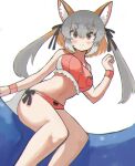  1girl absurdres animal_ear_fluff animal_ears bangs bare_shoulders bikini black_ribbon blush bow bow_bikini commentary extra_ears fox_ears fox_girl grey_eyes grey_hair hair_between_eyes hair_ribbon hand_up highres island_fox_(kemono_friends) kemono_friends long_hair looking_at_viewer multicolored_hair navel orange_hair ribbon simple_background sitting smile solo split_mouth swimsuit twintails white_background wristband zuchi00 