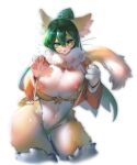  absurd_res anthro areola big_breasts breasts clothing domestic_cat felid feline felis female fur green_hair hair hi_res mammal nipple_outline panties solo underwear utterangle 