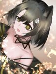  1girl absurdres animal_ears ao_oni_(onioni-aoi) arknights bangs bare_shoulders black_hair cat_ears choker commentary_request dress hair_between_eyes hair_ornament highres mandragora_(arknights) off-shoulder_dress off_shoulder open_mouth partial_commentary short_hair solo upper_body yellow_eyes 