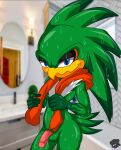  accipitrid accipitriform avian balls bathroom bird feathers genitals hi_res jet_the_hawk looking_at_viewer looking_pleasured male nude penis plumage sega sirjzau solo sonic_riders sonic_the_hedgehog_(series) tail_feathers towel towel_around_neck towel_only 