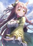  1girl animal_ears blurry blurry_background blush breasts brown_hair cloud commentary_request frilled_sleeves frills hair_between_eyes highres horse_ears horse_girl long_sleeves looking_to_the_side medium_breasts satono_diamond_(umamusume) solo takenaka_takeshi umamusume yellow_eyes 