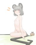  1girl :/ animal_ears bangs basket blush completely_nude dowsing_rod eyebrows_visible_through_hair flat_chest grey_hair highres holding holding_stick looking_at_viewer mouse mouse_ears mouse_tail nazrin ni_(221) nipples notice_lines nude red_eyes short_hair sitting solo stick sunglasses tail touhou 
