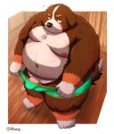  2022 absurd_res anthro balls belly bernese_mountain_dog big_belly black_body black_fur blush brown_body brown_fur bulge canid canine canis clothing domestic_dog fur genitals hi_res humanoid_genitalia humanoid_hands humanoid_penis kemono kumajjjj male mammal molosser moobs mountain_dog navel nipples obese obese_male overweight overweight_male penis solo swiss_mountain_dog underwear white_body white_fur 