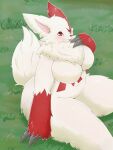  anthro anthrofied belly belly_markings big_breasts big_claws biped black_nose blush breasts cheek_tuft chest_tuft claw_fingers claws colored curvy_figure day detailed_background digital_media_(artwork) eye_markings facial_tuft featureless_breasts female fluffy fluffy_ears fluffy_tail front_view fur glistening glistening_body glistening_fur gloves_(marking) grass grey_claws hi_res high-angle_view huge_breasts kemono looking_at_viewer mammal markings monotone_tail multicolored_body multicolored_ears multicolored_fur neck_tuft nintendo nude outside pink_inner_ear plant pok&eacute;mon pok&eacute;mon_(species) pok&eacute;morph portrait pupils red_body red_ears red_eyes red_fur red_markings shaded sitting slightly_chubby slit_pupils snout solo thick_thighs three-quarter_portrait three-quarter_view tomochan tongue tongue_out tuft two_tone_body two_tone_ears two_tone_fur video_games voluptuous white_body white_ears white_fur white_tail wide_hips zangoose 