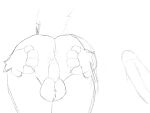  anal anus balls butt canid canine duo fox genitals hi_res humanoid luckyfur male male/male mammal penis sketch 
