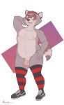  absurd_res anthro balls brownieclop chris_(brownieclop) clothed clothing digital_media_(artwork) footwear genitals hair hi_res high_socks humanoid_genitalia humanoid_penis male mammal nipples nude penis procyonid raccoon shoes simple_background smile socks solo 