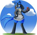  2_tails beverage_can blue_eyes can clothing cloud container grass hi_res holding_can holding_container holding_object invalid_tag jade_(disambiguation) looking_at_viewer lucario male multi_tail nintendo noodleartz paws plant pok&eacute;mon pok&eacute;mon_(species) shaded_color sky smile smirk solo solo_focus spikes spikes_(anatomy) standing sweater topwear video_games 