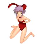  a1 animal_ears bunny_ears bunny_girl initial-g nagato_yuki suzumiya_haruhi_no_yuuutsu 