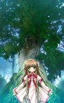  braid forest green_eyes highres hinoue_itaru kanbe_kotori nature rewrite school_uniform solo twin_braids 