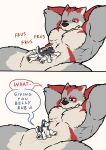  :d anthro belly_rub black_nose canid canine canis chest_tuft comic domestic_dog duo featureless_crotch fur grey_body grey_fur humor husky katzenfaust looking_at_another lying macro male mammal muscular muscular_male neck_tuft nordic_sled_dog on_back paws pecs red_body red_fur size_difference smile spitz tongue tongue_out tuft 