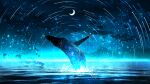  blue_theme commentary crescent_moon glowing highres moon night no_humans ocean original outdoors rinneko_(rinne_paint) scenery star_(symbol) star_trail whale 