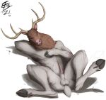  2021 animal_genitalia animal_penis anthro antlers balls biped brown_body brown_fur cervid cervine_penis erection fur genitals hi_res hooves horn lizet lying male mammal on_back penis sheath simple_background solo spread_legs spreading white_background white_body white_fur 