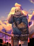  2022 anthro belly big_belly biped bottomwear cai_yuwang canid canine clothing cloud detailed_background hoodie kemono male mammal outside overweight overweight_male shorts solo topwear 