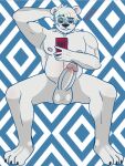  absurd_res anthro facial_piercing fur genitals hi_res humanoid male mammal nose_piercing paws penis phone piercing polar_bear pomelo selfie solo summoning_square ursid ursine white_body white_fur 