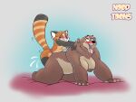  absurd_res ailurid alorix anthro breasts dildo female female/female hi_res mammal nood_toons nude red_panda sex_toy strapon ursid 