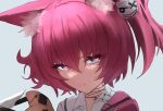  1girl animal_ear_fluff animal_ears arknights bangs closed_mouth collared_shirt commentary_request eyebrows_visible_through_hair grey_background hair_between_eyes highres looking_at_viewer mal_(malqsm) portrait purple_eyes purple_hair shamare_(arknights) shirt simple_background solo white_shirt 