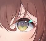  1girl absurdres bangs brown_hair close-up commentary_request eye_focus eyebrows_visible_through_hair hair_between_eyes highres looking_at_viewer mejiro_bright_(umamusume) roido_(taniko-t-1218) solo sweat umamusume yellow_eyes 