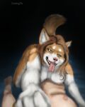  anthro canid canine canis domestic_dog duo female fur goulingtfs hair hi_res looking_at_viewer male male/female mammal nipples nude were werecanid werecanine 