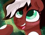  absurd_res comet_wolf cuddledrivenpony feral forest hasbro headshot_portrait hi_res invalid_tag male my_little_pony plant portrait solo sparkles tree 