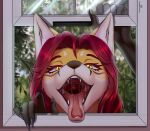  &lt;3 2022 absurd_res anthro bodily_fluids canid canine clawed_fingers drooling ezo_red_fox facial_markings female fox fur gesture hair head_markings hi_res imminent_vore looking_at_viewer mammal markings monro-sha mouth_shot open_mouth open_window oral_vore pointing pointing_at_viewer pupils red_fox red_hair saliva saliva_on_tongue saliva_string slit_pupils solo teeth tongue tongue_out ukrainian_flag vore vulpes_foxnik window yellow_body yellow_eyes yellow_fur 