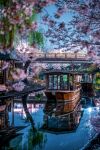  absurdres blue_sky bridge cherry_blossoms commentary_request day floating highres lake mpmb7 nature no_humans original outdoors reflection reflective_water river scenery ship sky translation_request tree water watercraft 