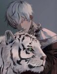  1boy amn_ic01 animal blue_background blue_eyes brown_jacket green_eyes highres jacket male_focus original ribbon short_hair slit_pupils solo tiger white_hair white_tiger 