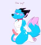  anthro arrowshady black_ears black_nose blue_body blue_fur blue_hair blush bubble canid canine canis collar cute_expression cute_eyes dog_tags erection fur genitals good_boy hair hi_res kneeling male male/male mammal navel nipples paws penis pink_body pink_eyes pink_fur pink_nipples polka_dots sitting smile solo spots spotted_body spotted_fur submissive submissive_anthro submissive_male wolf 