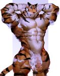  abs absurd_res anthro balls bathing big_muscles black_body black_fur eyes_closed felid fur genitals hi_res male mammal muscular muscular_anthro muscular_male navel nude orange_body orange_fur pantherine pecs penis raised_arms reolixious soap solo standing stripes tiger white_body white_fur 