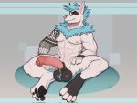  anthro balls canid canine canis domestic_dog dreiker erection foreskin genital_piercing genitals hi_res humanoid_genitalia humanoid_penis male mammal nude penis piercing sitting solo tattoo white_body 