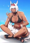  1girl animal animal_ears animal_on_lap bikini black_bikini blue_eyes blush body_markings breasts caenis_(fate) cat cat_on_lap dark-skinned_female dark_skin fate/grand_order fate_(series) hair_intakes highres large_breasts long_hair muscular muscular_female ponytail sabamori sitting swimsuit white_hair 