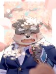  amidasuke anthro blush canid canine canis cherry_blossom domestic_dog eyebrows first_person_view fur grey_body grey_fur hi_res lifewonders male mammal moritaka plant scar smile smiling_at_viewer solo thick_eyebrows tokyo_afterschool_summoners video_games 