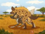  2d_animation african_wild_dog animated anus balls canid canine duo female female_penetrated feral feral_on_feral feral_penetrated feral_penetrating feral_penetrating_feral genitals hyaenid male male/female male_penetrating male_penetrating_female mammal muskydusky penetration penis plant savanna sex spots tree 