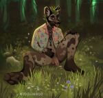  2021 african_wild_dog anthro artist_name banan_zielony_(dudelinooo) barefoot biped black_eyebrows black_nails bodily_fluids bottomless brown_body brown_fingers brown_fur brown_inner_ear brown_markings brown_pawpads brown_spots canid canine cherry clitoris clothed clothing colored_nails detailed_background digital_media_(artwork) eyebrows facial_hair feet flower food forest forest_background front_view fruit full-length_portrait fur genital_fluids genitals grass green_hair hair hand_on_crotch hand_on_knee hand_on_leg hi_res humanoid_genitalia humanoid_penis inner_ear_fluff intersex jewelry male mammal markings mohawk nails nature nature_background necklace nudelinooo open_mouth partially_clothed pattern_clothing pattern_shirt pattern_topwear pawpads penis plant portrait red_eyes red_tongue rock shirt sitting solo spots spread_legs spreading t-dick tan_inner_ear_fluff tan_markings teeth tongue topwear tree tuft yellow_clothing yellow_shirt yellow_topwear 