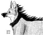  2015 ambiguous_gender black_and_white canid canine cheek_tuft chest_tuft chin_tuft dated facial_tuft feral glistening glistening_eyes inner_ear_fluff mammal mane maned_wolf monochrome neck_tuft side_view tuft 