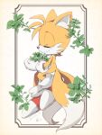  1boy blush closed_eyes closed_mouth fox_boy fox_tail furry furry_male male_focus mint misuta710 multiple_tails smile solo sonic_(series) tail tails_(sonic) two_tails 