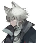  1boy animal_ears aosta_(arknights) arknights bandaid bandaid_on_face bandaid_on_nose bishounen black_jacket collar english_text from_side jacket looking_to_the_side male_focus serious shirt simple_background solo upper_body white_hair white_shirt wolf_boy wolf_ears yellow_eyes yszx 