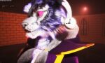  animated anthro clothing felid female fur furrier mammal mistress_frost pantherine solo tiger 