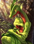  claws closed_mouth commentary_request day green_eyes grovyle happy highres hug karamimame light_rays looking_at_another no_humans open_mouth outdoors pokemon pokemon_(creature) shadow tongue tree treecko yellow_eyes 