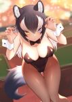  1girl akuma_(st.takuma) alternate_costume animal_ear_fluff animal_ears black_bow black_bowtie black_hair black_legwear black_leotard blue_eyes blurry blurry_background bow bowtie breasts claw_pose commentary eyebrows_visible_through_hair frown grey_wolf_(kemono_friends) heterochromia indoors kemono_friends large_breasts leaning_forward leotard looking_at_viewer multicolored_hair pantyhose playboy_bunny solo tail thigh_gap two-tone_hair v-shaped_eyebrows white_hair wolf_ears wolf_girl wolf_tail wrist_cuffs yellow_eyes 